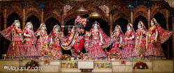 Daily Darshan