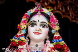 Daily Darshan