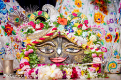 Daily Darshan