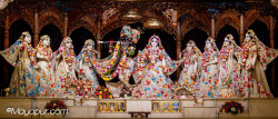 Daily Darshan