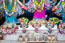 Daily Darshan