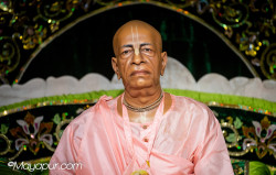Daily Darshan