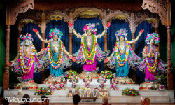 Daily Darshan