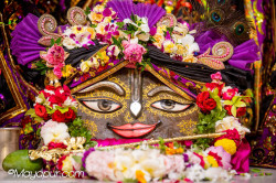 Daily Darshan