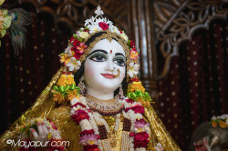 Daily Darshan
