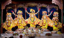 Daily Darshan