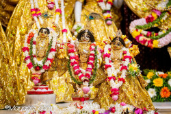 Daily Darshan