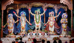 Daily Darshan