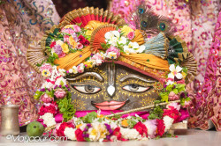 Daily Darshan