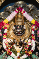 Daily Darshan