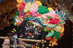 Daily Darshan
