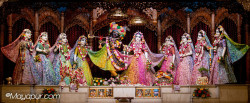 Daily Darshan