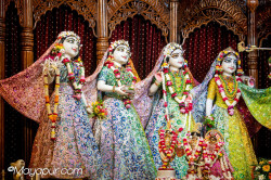 Daily Darshan
