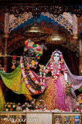 Daily Darshan