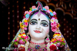 Daily Darshan