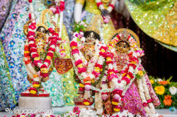 Daily Darshan