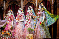 Daily Darshan