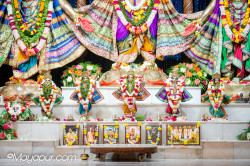 Daily Darshan
