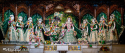Daily Darshan