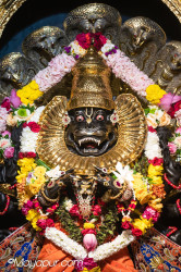 Daily Darshan