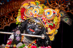 Daily Darshan