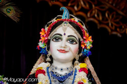 Daily Darshan