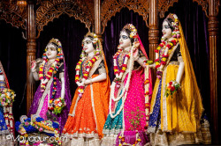 Daily Darshan