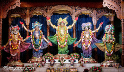 Daily Darshan