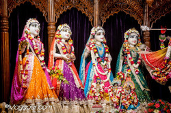 Daily Darshan