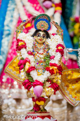 Daily Darshan