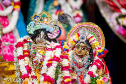 Daily Darshan