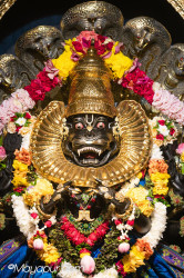 Daily Darshan