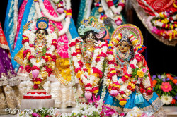 Daily Darshan