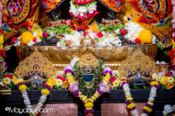 Daily Darshan