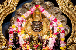 Daily Darshan