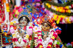 Daily Darshan