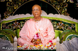 Daily Darshan