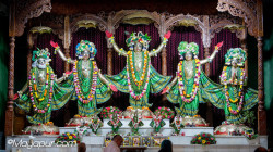 Daily Darshan
