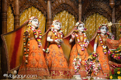 Daily Darshan