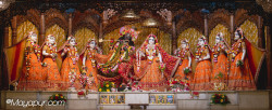 Daily Darshan