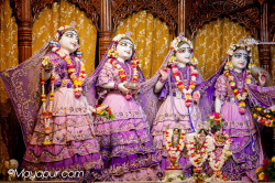 Daily Darshan