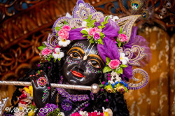 Daily Darshan