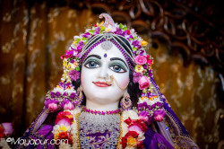 Daily Darshan