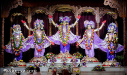 Daily Darshan