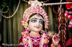 Daily Darshan
