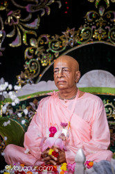 Daily Darshan