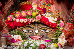 Daily Darshan