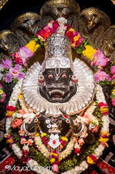 Daily Darshan