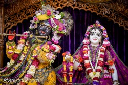 Daily Darshan