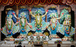 Daily Darshan